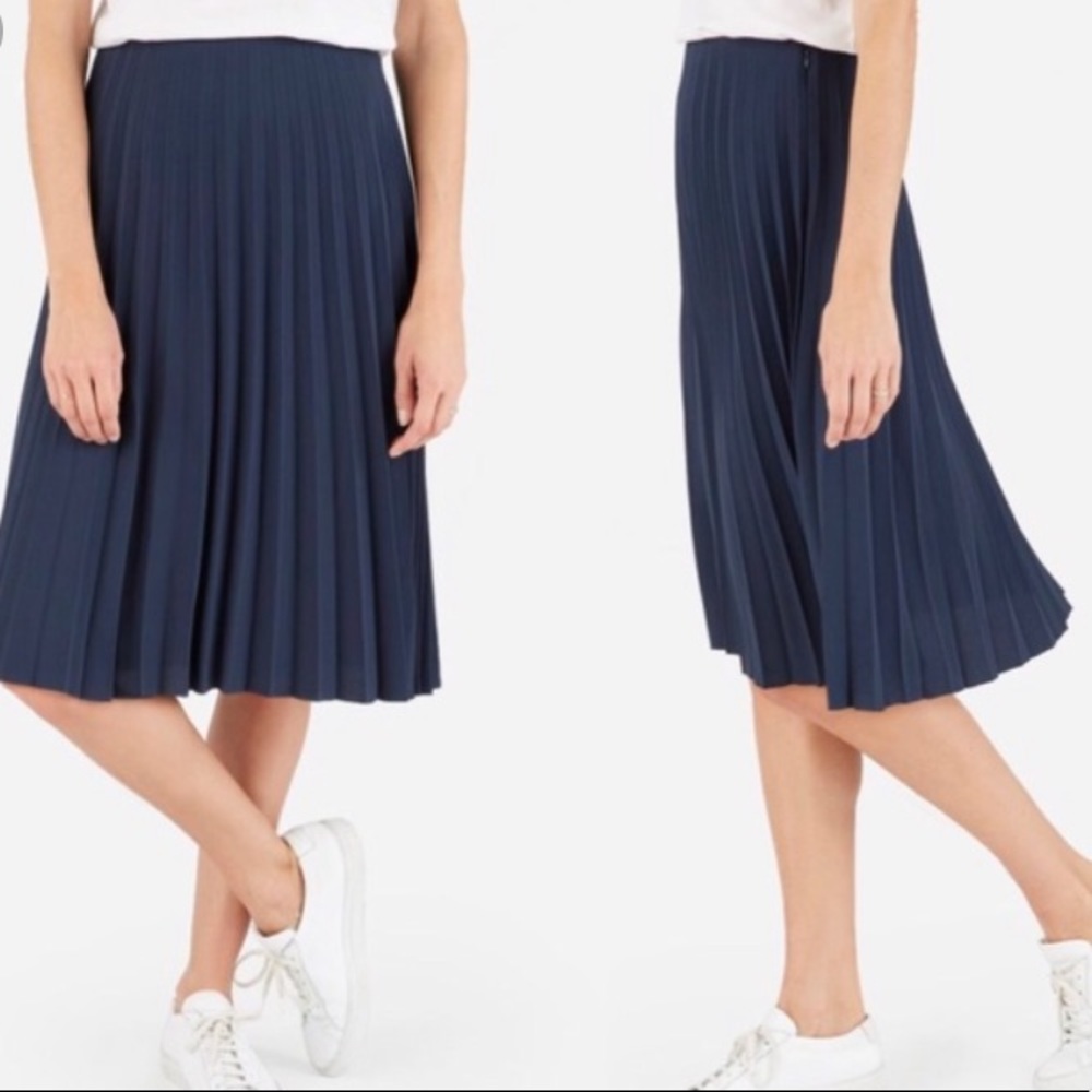 Everlane pleated skirt